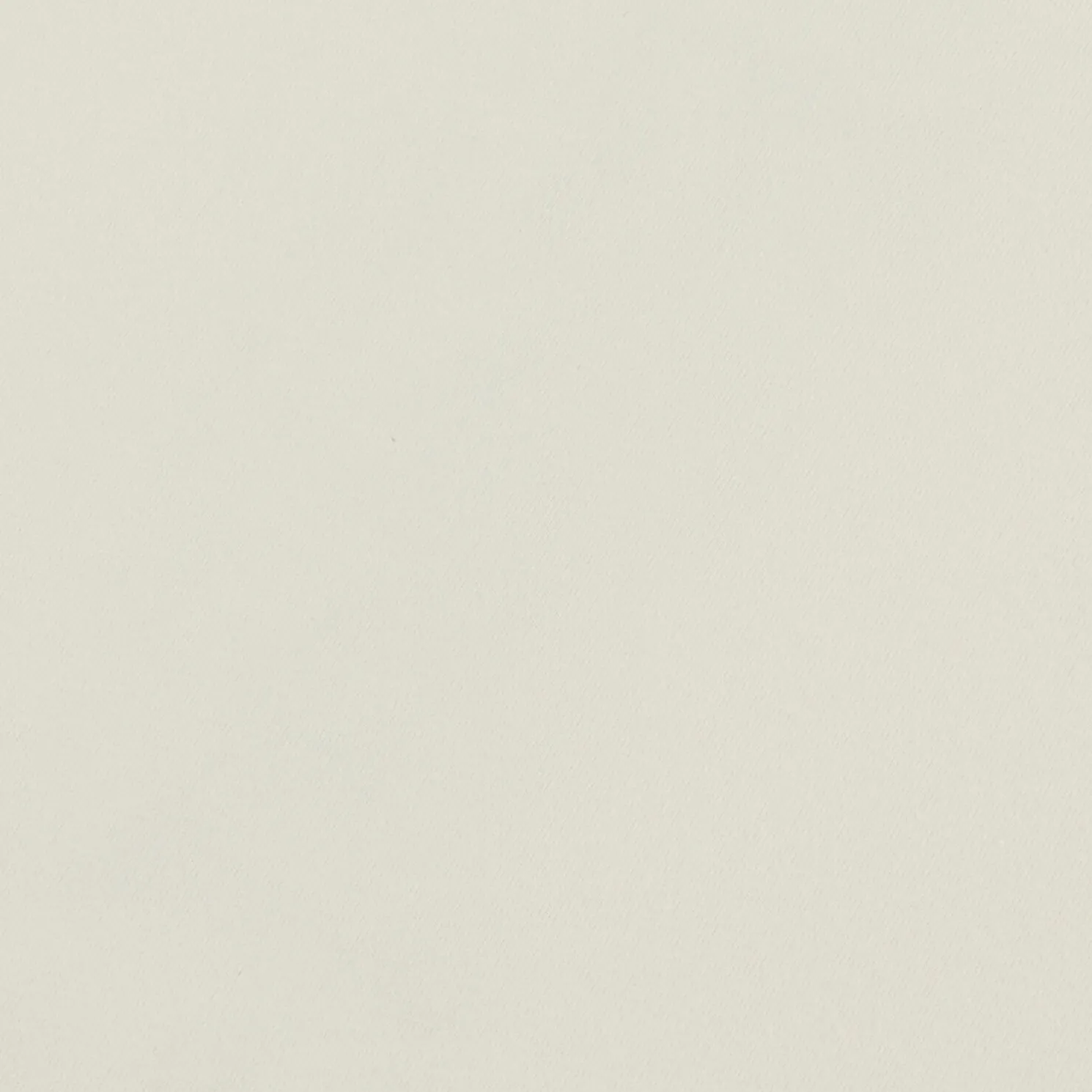 Katoenen T-shirt met ronde hals en print